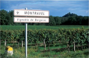 Montravel Wine