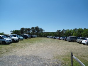 DSC00248