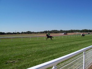 angouleme-races-011_800x600